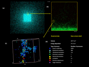 Simulated photon and electron tracks in liquid water