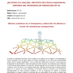 Programa IFF-01 (Responsable: Marta I. Hernández)